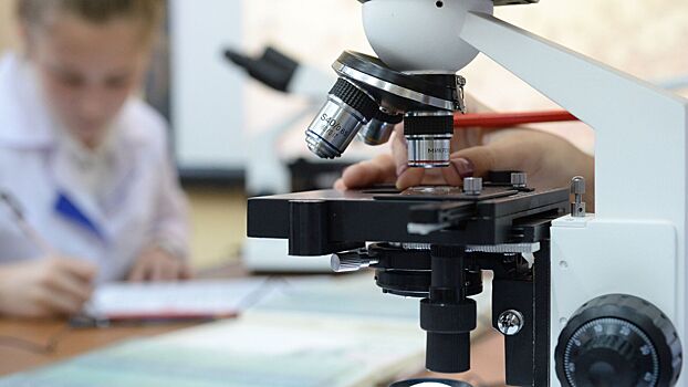 Препарат для лечения «синдрома Петрушки» прошел первую фазу испытаний