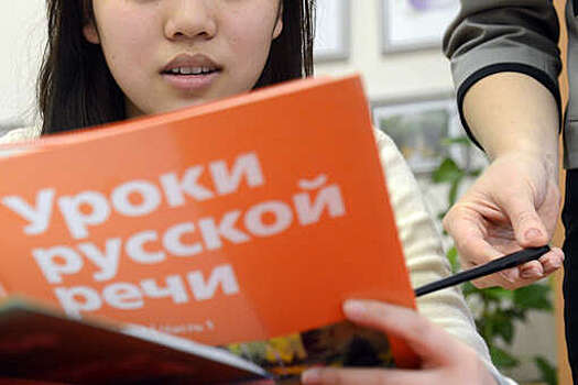 Член СПЧ Кабанов: закон о платной школе для мигрантов противоречит Конституции РФ