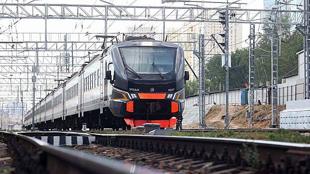 Посол Мексики рассказал, как ездил на электричках в Подмосковье