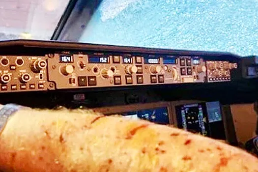 В небе над США в Boeing 737 попал метеорит, последствия сняли на фото