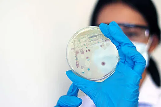 Инфекционист Жемчугов: стафилококк часто размножается в белковых продуктах