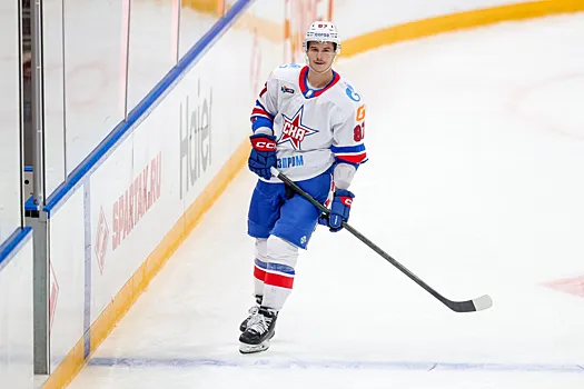 Рыбин: Голдобин — это второй Кузнецов, который приехал в «Металлург» и ничего не делает