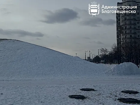 За четыре дня в Благовещенске найдено 11 несовершеннолетних, которые катались с холмов на набережной