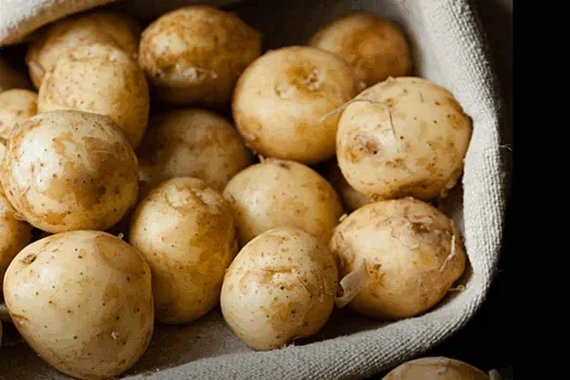 Картофель: друг или враг? Разбираем пользу и вред для здоровья