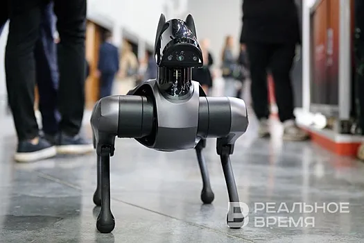 Роботы из Казани остались без медали на международном чемпионате